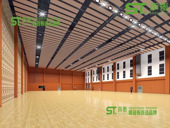 湖北大型籃球館空間吸聲體品牌(圖3) 湖北大型籃球館空間吸聲體品牌(圖3)