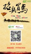 招兵買馬！重磅出擊！