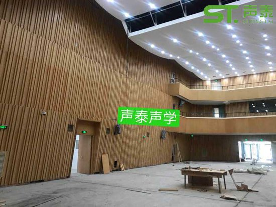 福州報告廳擴(kuò)散體聲學(xué)案例(圖1) 福州報告廳擴(kuò)散體聲學(xué)案例(圖1)